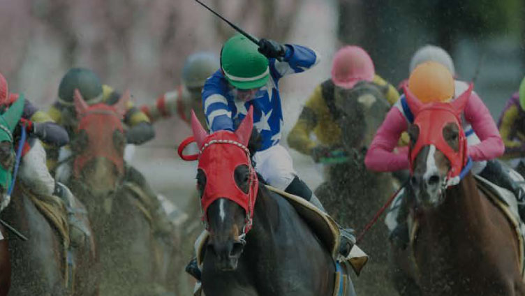 地方競馬