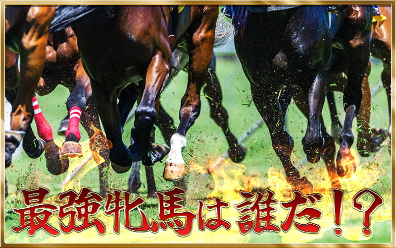 牝馬 最強