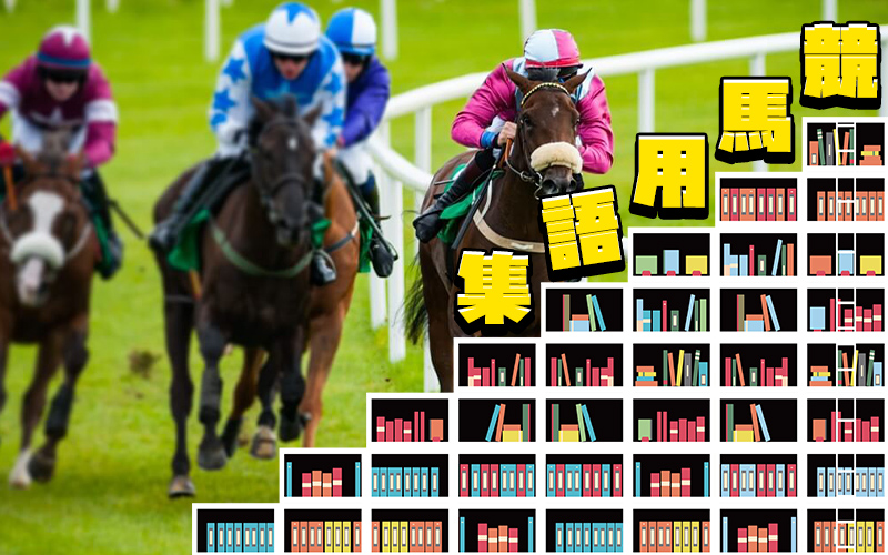 競馬 用語 解説