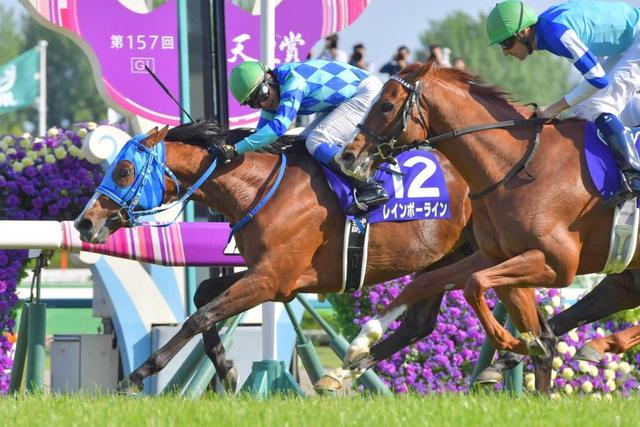 欧州型サドラーズウェルズ系