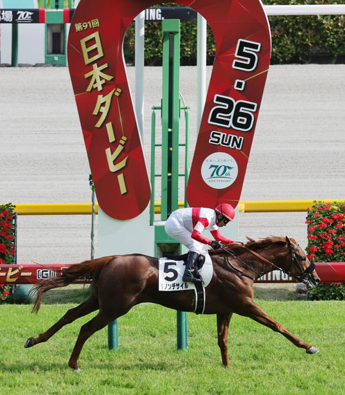 リピーター馬
