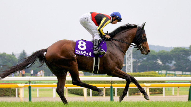 リピーター馬
